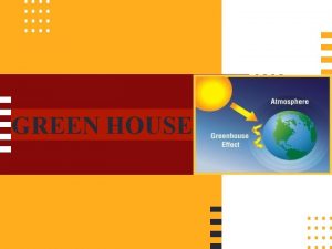 GREEN HOUSE GREEN HOUSE Vegetables are produced in