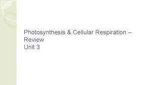 Photosynthesis Cellular Respiration Review Unit 3 Photosynthesis Cellular
