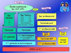 Vie active tudes suprieures fac DUT BTS Bac