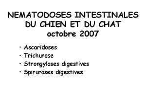 NEMATODOSES INTESTINALES DU CHIEN ET DU CHAT octobre