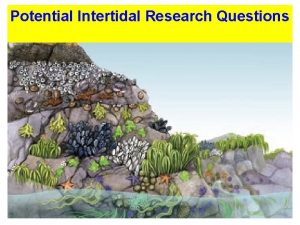 Potential Intertidal Research Questions Potential Intertidal Research Questions