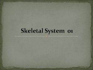 Skeletal System 01 Skeletal System Composed of the