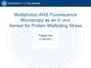 Multiphoton ANS Fluorescence Microscopy as an in vivo