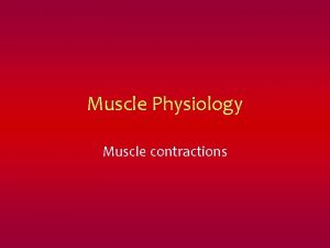 Muscle Physiology Muscle contractions The Muscle Cell Sarcolemma