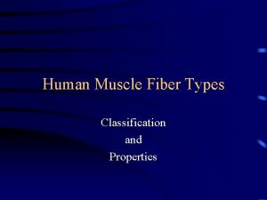 Human Muscle Fiber Types Classification and Properties Muscle