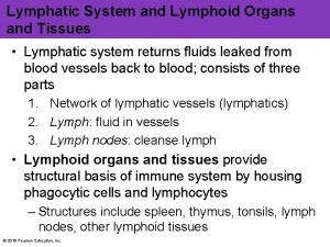 Lymphatic System and Lymphoid Organs and Tissues Lymphatic