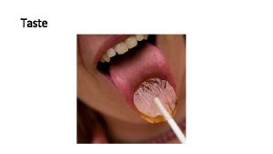 Taste Papillae Bumps that cover the tongue surface
