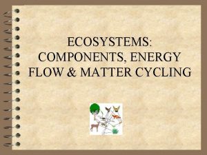 ECOSYSTEMS COMPONENTS ENERGY FLOW MATTER CYCLING ECOLOGY 4