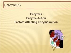 ENZYMES Enzymes Enzyme Action Factors Affecting Enzyme Action