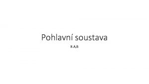 Pohlavn soustava 8 A B Stavba musk pohlavn