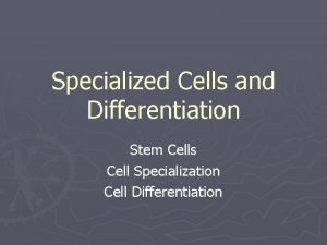 Specialized Cells and Differentiation Stem Cells Cell Specialization