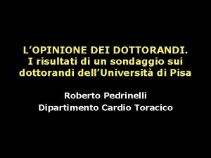 LOPINIONE DEI DOTTORANDI I risultati di un sondaggio