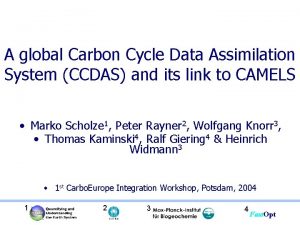 A global Carbon Cycle Data Assimilation System CCDAS