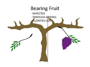 Bearing Fruit EXPECTED THROUGH ABIDING GLORIFIES GOD How