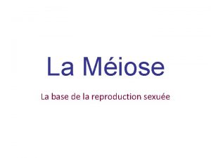 La Miose La base de la reproduction sexue