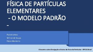 FSICA DE PARTCULAS ELEMENTARES O MODELO PADRO Palestrantes