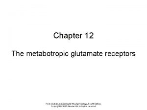 Chapter 12 The metabotropic glutamate receptors From Cellular