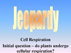 Cell Respiration Initial question do plants undergo cellular