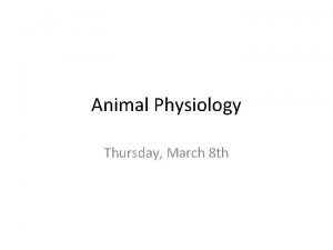 Animal Physiology Thursday March 8 th Physiology defined