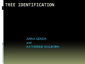 TREE IDENTIFICATION ANNA GENDA and KATHERINE WALBORN WHITE