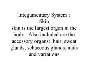 Integumentary System Skin skin is the largest organ