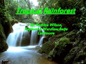 Tropical Rainforest By Katrina Wilson Keyaunna Wardlaw Beije