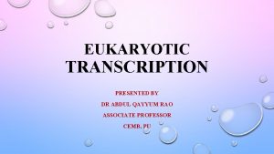 EUKARYOTIC TRANSCRIPTION PRESENTED BY DR ABDUL QAYYUM RAO