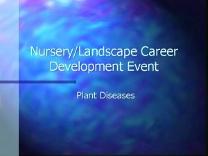 NurseryLandscape Career Development Event Plant Diseases Anthracnose n
