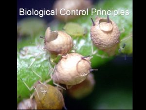 Biological Control Principles Natural Control Biological Control Definition