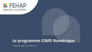 Le programme ESMS Numrique Prparation de linstruction 2