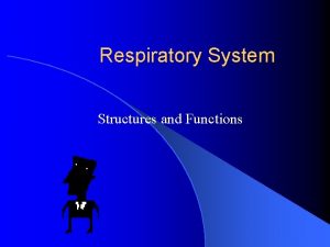 Respiratory System Structures and Functions Parts of Respiratory