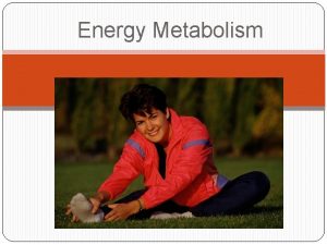 Energy Metabolism Energy metabolism Energy from the food