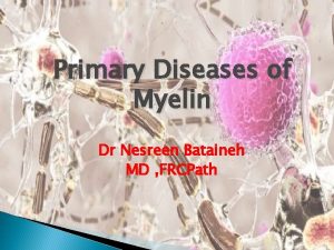 Primary Diseases of Myelin Dr Nesreen Bataineh MD