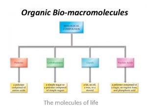 Organic Biomacromolecules The molecules of life Organic Life