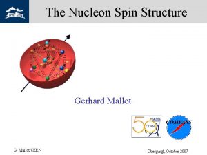 The Nucleon Spin Structure Gerhard Mallot G MallotCERN