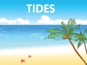 TIDES What causes tides Tides are the daily