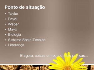 Ponto de situao Taylor Fayol Weber Mayo Biologia