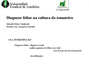 Diagnose foliar na cultura do tomateiro Hideaki Wilson