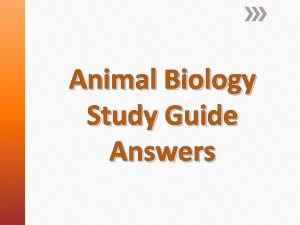 Animal Biology Study Guide Answers Define a tissue