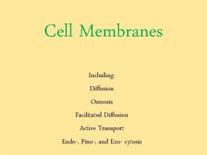 Cell Membranes Including Diffusion Osmosis Facilitated Diffusion Active