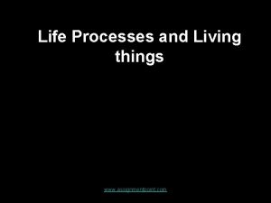 Life Processes and Living things www assignmentpoint com