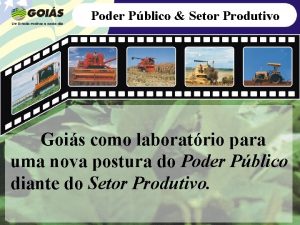 Poder Pblico Setor Produtivo Gois como laboratrio para