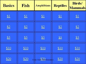 Birds Reptiles Mammals Basics Fish Amphibians 1 1