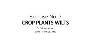 Exercise No 7 CROP PLANTS WILTS Dr Salman