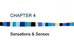 CHAPTER 4 Sensations Senses Our Senses the World