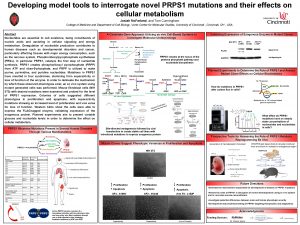 Developing model tools to interrogate novel PRPS 1