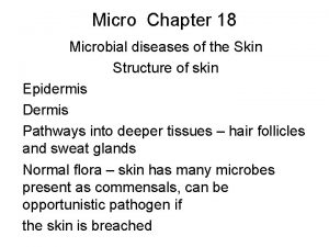 Micro Chapter 18 Microbial diseases of the Skin