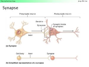 Neuropharmacology Synapse JongMo Seo Neuropharmacology Synapse JongMo Seo
