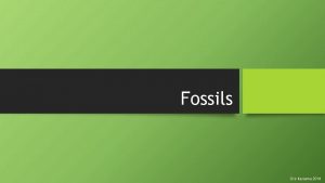 Fossils Sire Kassama 2014 Relative And Absolute Age