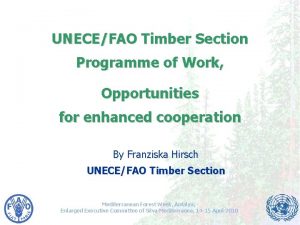 UNECEFAO Timber Section Programme of Work Opportunities for
